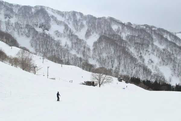Yuzawa Kogen ski Stockbild