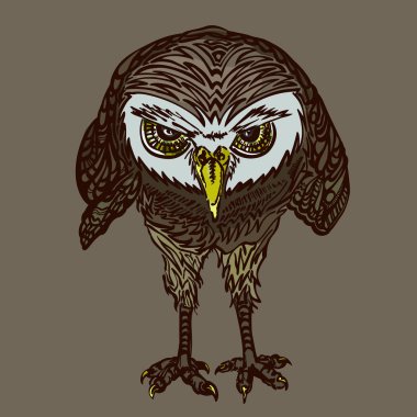 Sarı gözlü şeytan baykuş