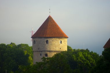 Gündüz, antik kuleye bakış