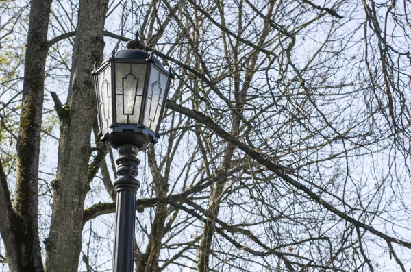 Street Lamp Park Daytime — Stock Photo, Image