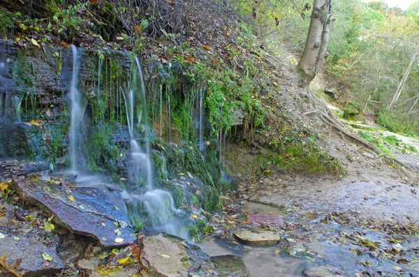 Landscape — Stock Photo, Image