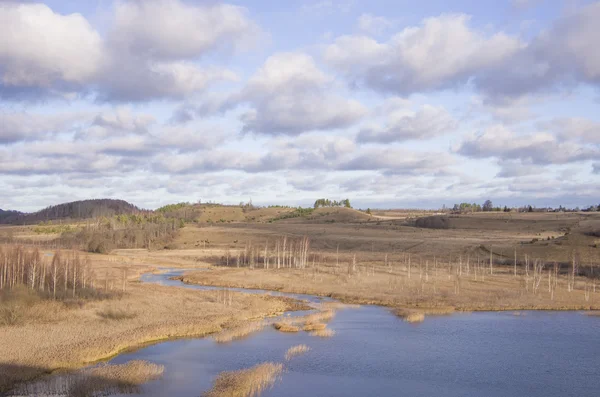 Izborsk の秋風景 — ストック写真