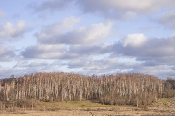 이즈보르스크의가 자연 환경 — 스톡 사진