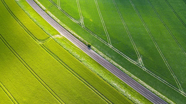 Вид Воздуха Проселочную Дорогу Середине Зеленых Фермерских Полей Поздней Весной — стоковое фото