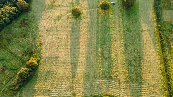 Воздушный Вид Поля Свежеперемещенного Трактором Загорелой Тени Деревьев — стоковое фото