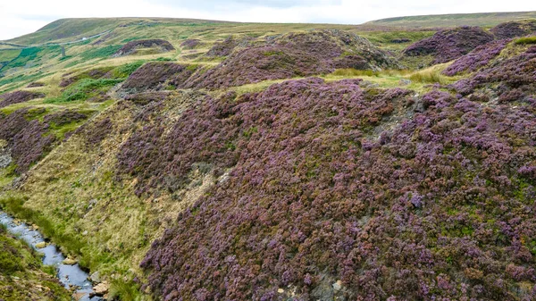 Derbyshire, İngiltere 'de kasvetli bir günde çiftliksiz arazide küçük bir dere..