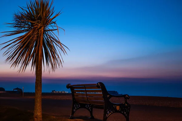 Palm Bench Sea Early Morning Clear Sky Worthing West Sussex — Stock fotografie