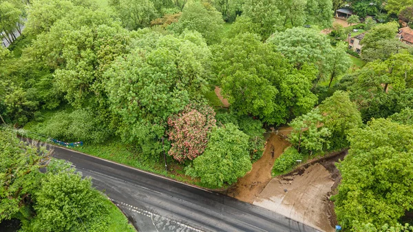 Widok Lotu Ptaka Wiejskiej Drogi Otoczonej Drzewami West Sussex — Zdjęcie stockowe