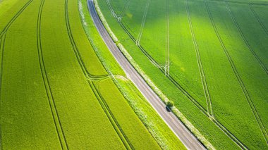 Batı Sussex, İngiltere 'de ilkbaharın sonlarında yeşil tarlaların ortasındaki köy yolunun hava görüntüsü..
