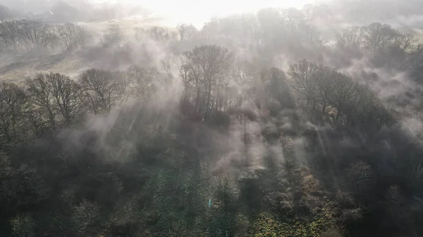 Luftaufnahme Eines Nebligen Waldes Den Frühen Morgenstunden Aufgenommen Von Einer — Stockfoto