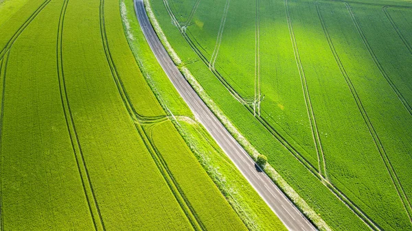 Batı Sussex, İngiltere 'de ilkbaharın sonlarında yeşil tarlaların ortasındaki köy yolunun hava görüntüsü..