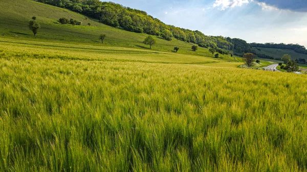 Granja Vista Tierra Tomada Con Dron West Sussex Reino Unido — Foto de Stock