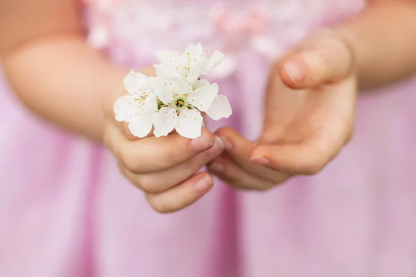 Niño sosteniendo una flor — Foto de Stock