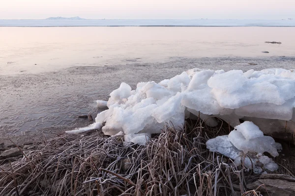 Κατεψυγμένα ακτή με καλάμια και τα χοντρά κομμάτια του πάγου — Φωτογραφία Αρχείου