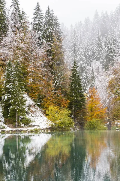 Vista Panoramica Del Lago Innevato Fusine — Foto Stock