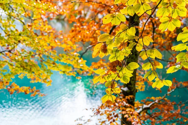 Scénický Pohled Jezero Fusine Itálie — Stock fotografie