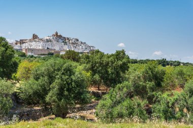 Ostuni kasabası, Apulia, İtalya