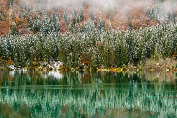 Vue Panoramique Lac Neigeux Fusine Italie — Photo