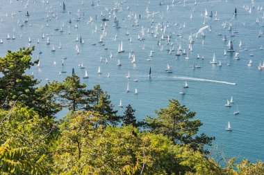İtalya, Trieste Körfezi 'ndeki Barcolana yat yarışı. 