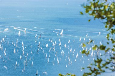 İtalya, Trieste Körfezi 'ndeki Barcolana yat yarışı. 