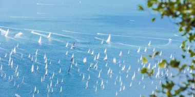 İtalya, Trieste Körfezi 'ndeki Barcolana yat yarışı. 