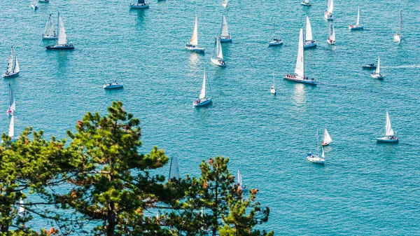 Barcolana Regatta Golf Von Trieste Italien — Stockfoto