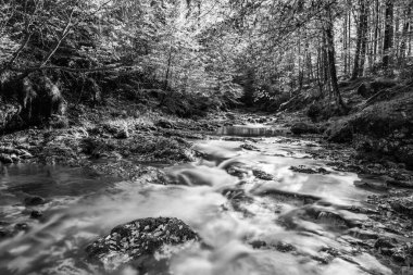 İtalya 'daki dağlık ormandan akan nehir.