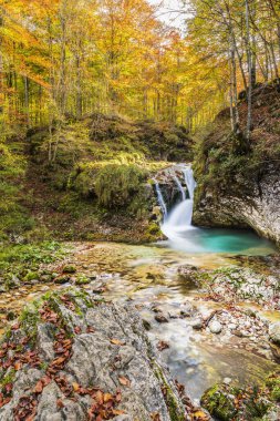 İtalya 'daki dağlık ormandan akan nehir.