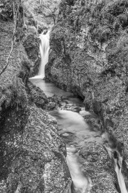 İtalya 'daki dağlık ormandan akan nehir.