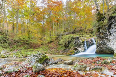 İtalya 'daki dağlık ormandan akan nehir.
