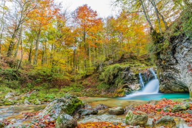 İtalya 'daki dağlık ormandan akan nehir.