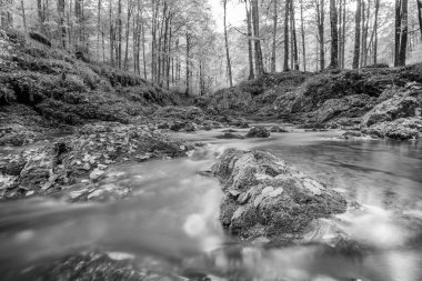 İtalya 'daki dağlık ormandan akan nehir.