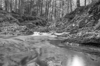 İtalya 'daki dağlık ormandan akan nehir.