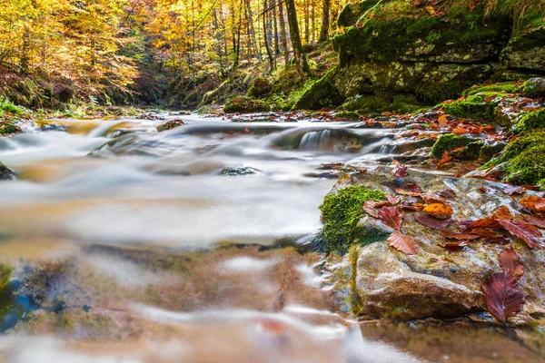 Fiume Che Scorre Attraverso Foresta Degli Altopiani Italia — Foto Stock