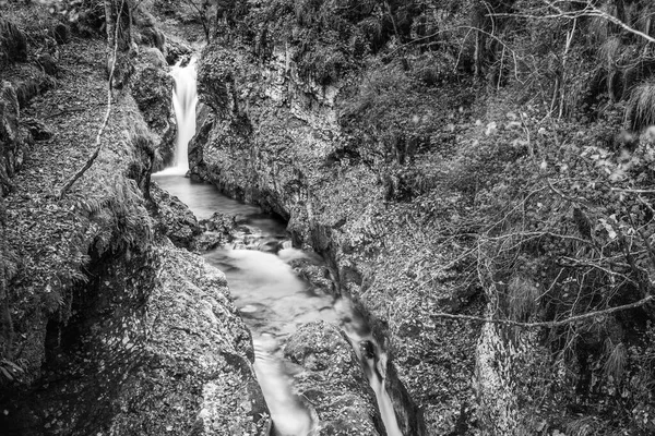Sungai Mengalir Melalui Hutan Dataran Tinggi Italia — Stok Foto