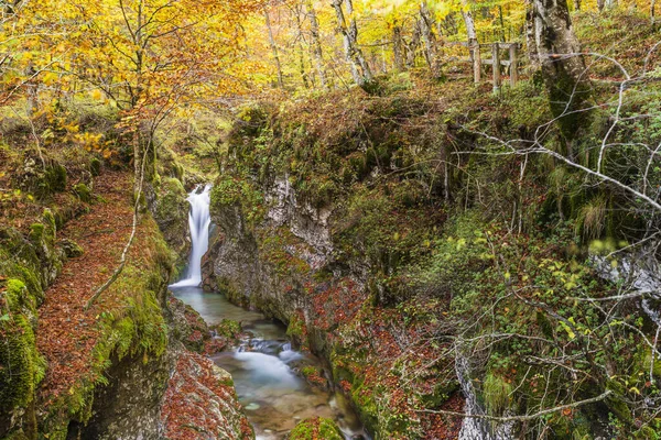 Rzeka Przepływająca Przez Lasy Górskie Włochy — Zdjęcie stockowe