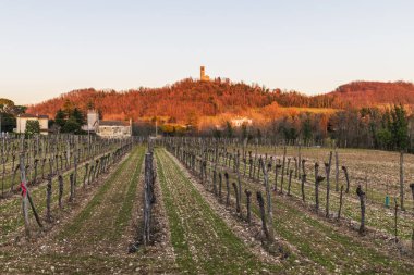 İtalya 'da Cormons doğa manzarası