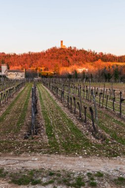 İtalya 'da Cormons doğa manzarası