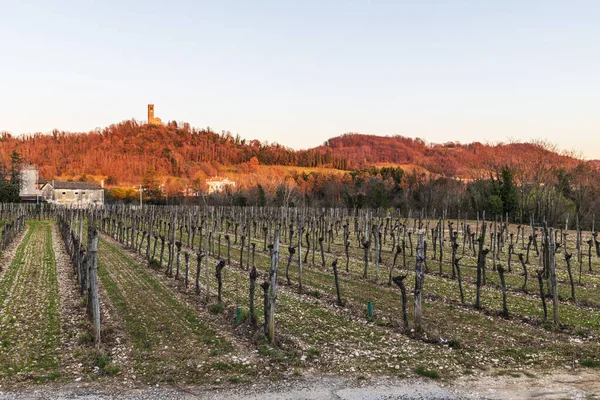 İtalya 'da Cormons doğa manzarası