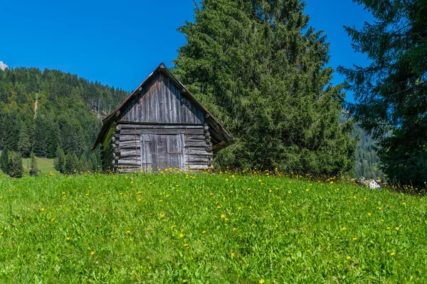 Nature Traditions Dans Ancien Village Sappada Perle Des Dolomites Frioul — Photo
