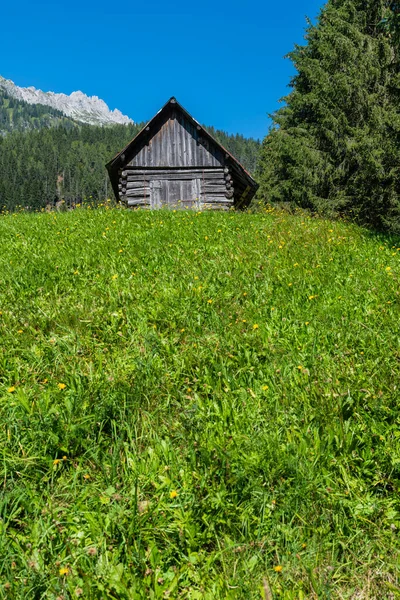 Természet Hagyományok Ősi Sappada Faluban Dolomitok Gyöngyszeme Friuli — Stock Fotó
