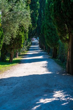 Garda Gölü ve Punta San Vigilio 'nun güzelliği.