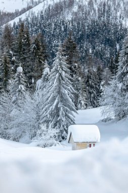 Kar yağdıktan sonra. Sappada 'da alacakaranlığın son ışıkları. Dolomitlerin Büyüsü