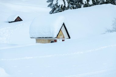 Kar yağdıktan sonra. Sappada 'da alacakaranlığın son ışıkları. Dolomitlerin Büyüsü