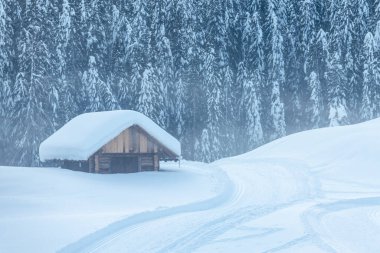 Kar yağdıktan sonra. Sappada 'da alacakaranlığın son ışıkları. Dolomitlerin Büyüsü
