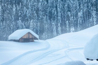 Kar yağdıktan sonra. Sappada 'da alacakaranlığın son ışıkları. Dolomitlerin Büyüsü