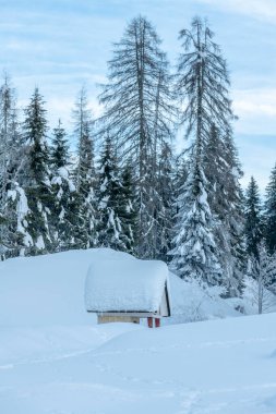 Kar yağdıktan sonra. Sappada 'da alacakaranlığın son ışıkları. Dolomitlerin Büyüsü