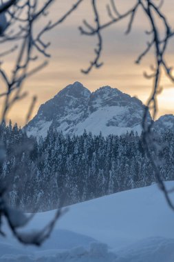 Kar yağdıktan sonra. Sappada 'da alacakaranlığın son ışıkları. Dolomitlerin Büyüsü