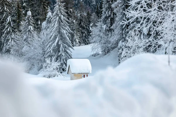 Sněžení Poslední Světla Soumraku Sappadě Magie Dolomitů — Stock fotografie