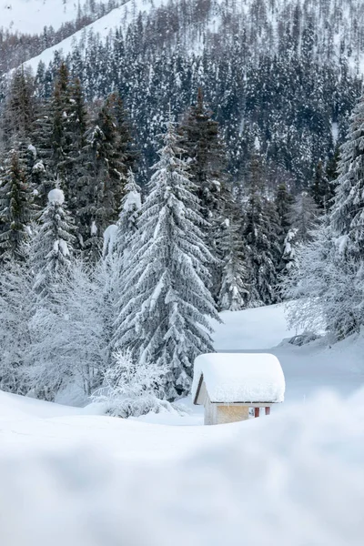 Sněžení Poslední Světla Soumraku Sappadě Magie Dolomitů — Stock fotografie